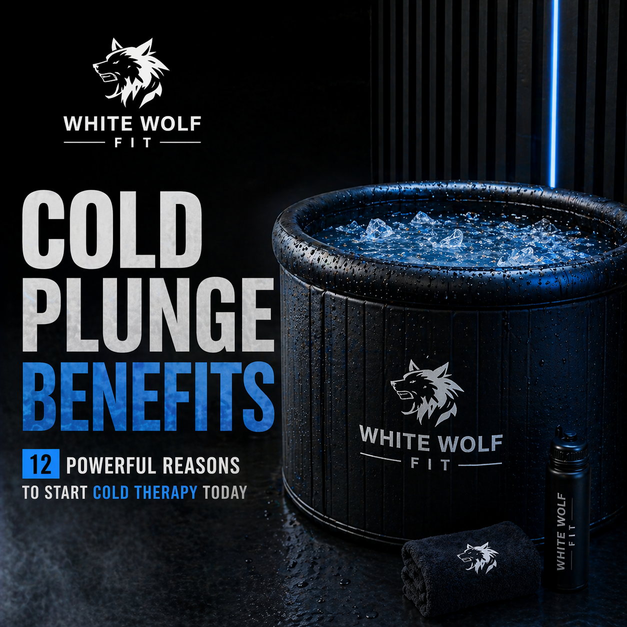 Cold Plunge Benefits: 12 Powerful Reasons to Start Cold Therapy Today